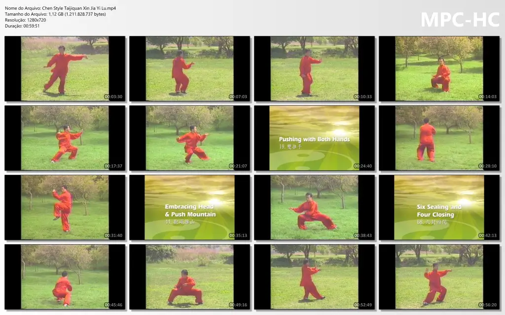 Chen Style Taijiquan Xin Jia Yi Lu.mp4 thumbs