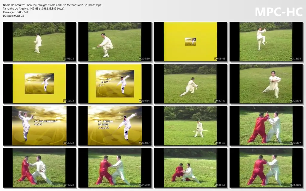 Chen Taiji Straight Sword and Five Methods of Push Hands.mp4 thumbs