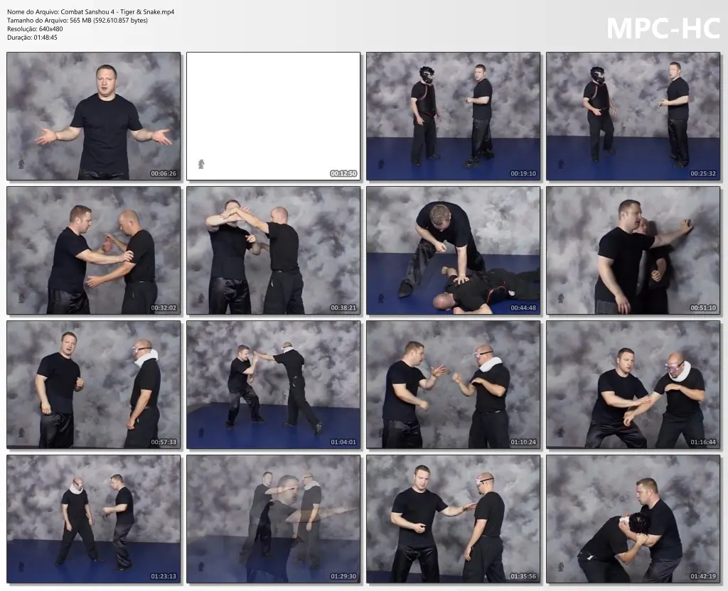 Combat Sanshou 4 Tiger & Snake.mp4 thumbs