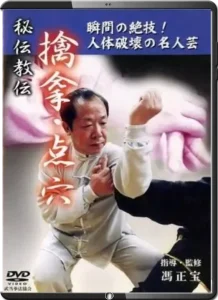 FENG ZHENGBAO QIN NA & DIM MAK (PRESSURE POINT STRIKING)