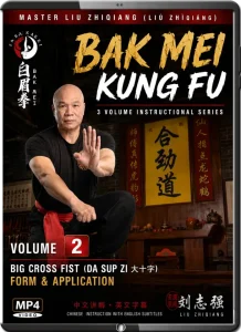 LIU ZHIQIANG BAK MEI KUNG FU VOL.02