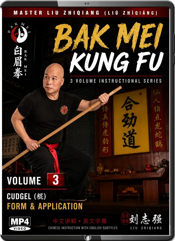 LIU ZHIQIANG BAK MEI KUNG FU VOL.03