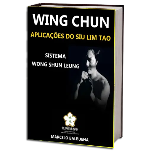 MARCELO BALBUENA WING CHUN PDF