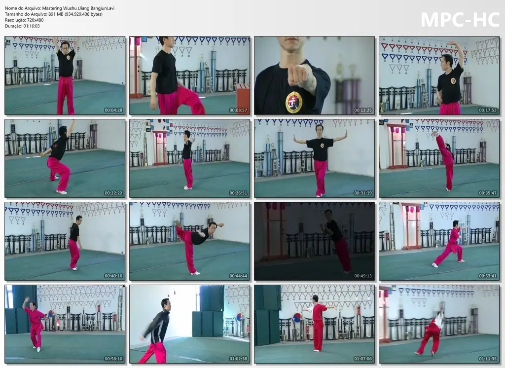 Mastering Wushu (Jiang Bangjun).avi thumbs