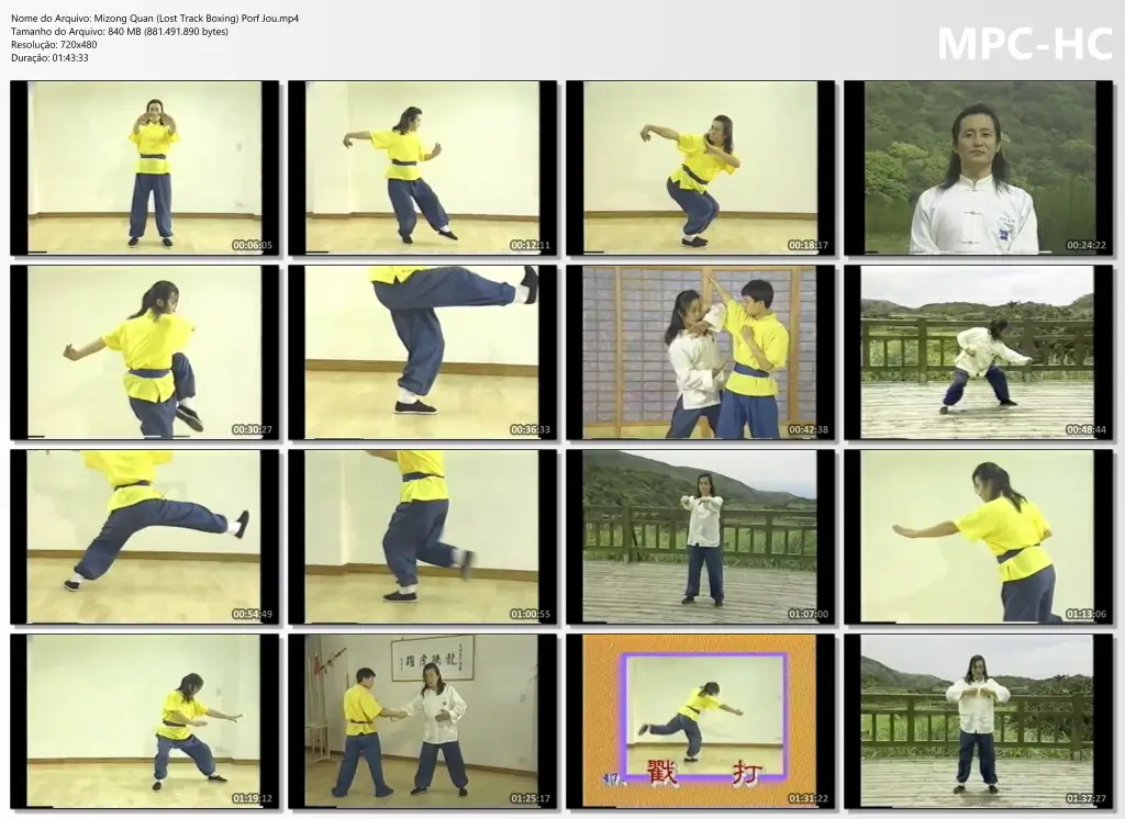 Mizong Quan (Lost Track Boxing) Porf Jou.mp4 thumbs