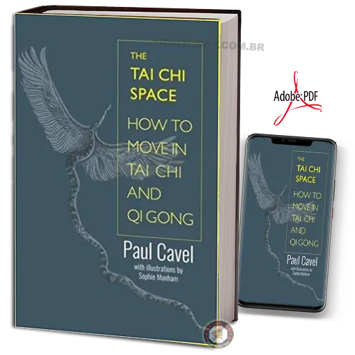PAUL CAVEL THE TAI CHI SPACE PDF