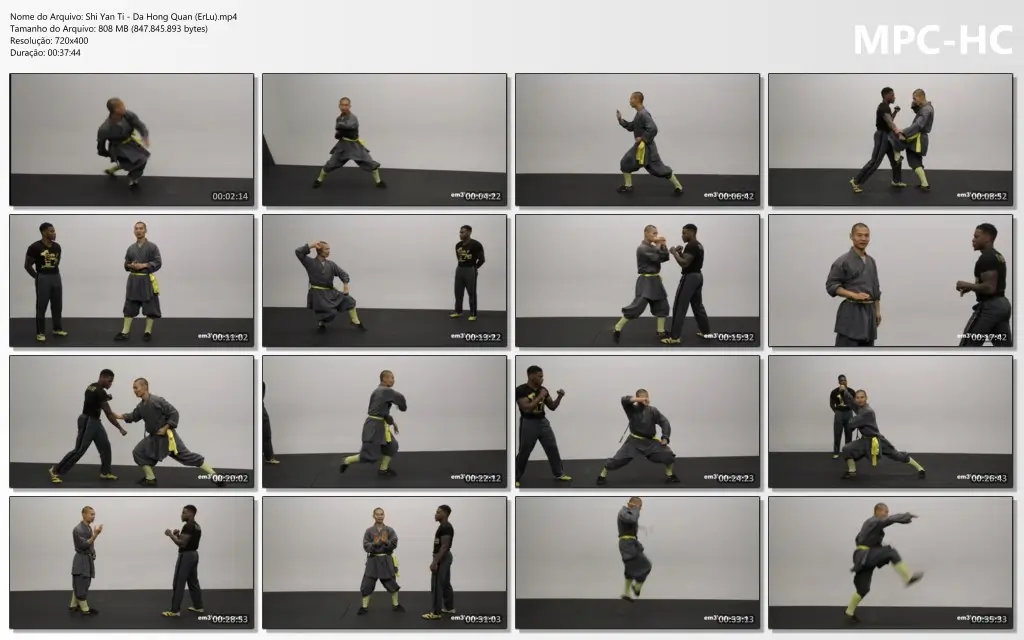 Shi Yan Ti Da Hong Quan (ErLu).mp4 thumbs