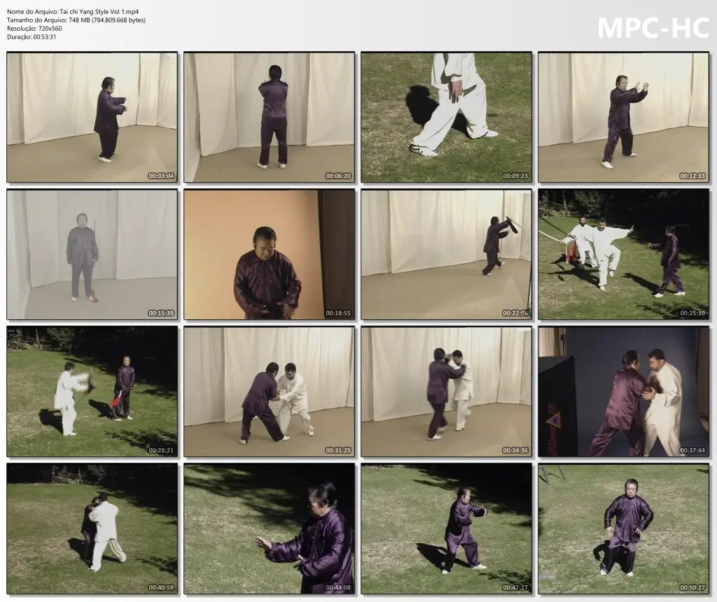 Tai chi Yang Style Vol 1.mp4 thumbs