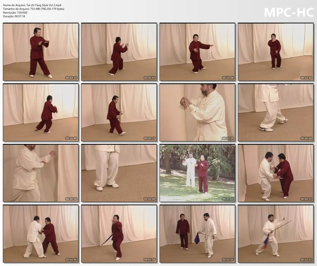 Tai chi Yang Style Vol 2.mp4 thumbs