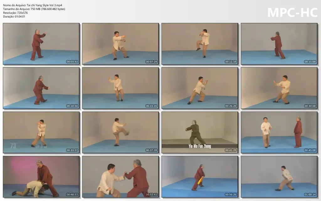 Tai chi Yang Style Vol 3.mp4 thumbs
