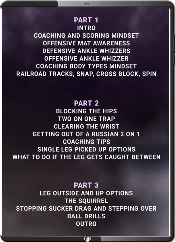 WADE SCHALLES SLICKS AND TRICKS WRESTLING INSIGHTS & INNOVATIONS COVER