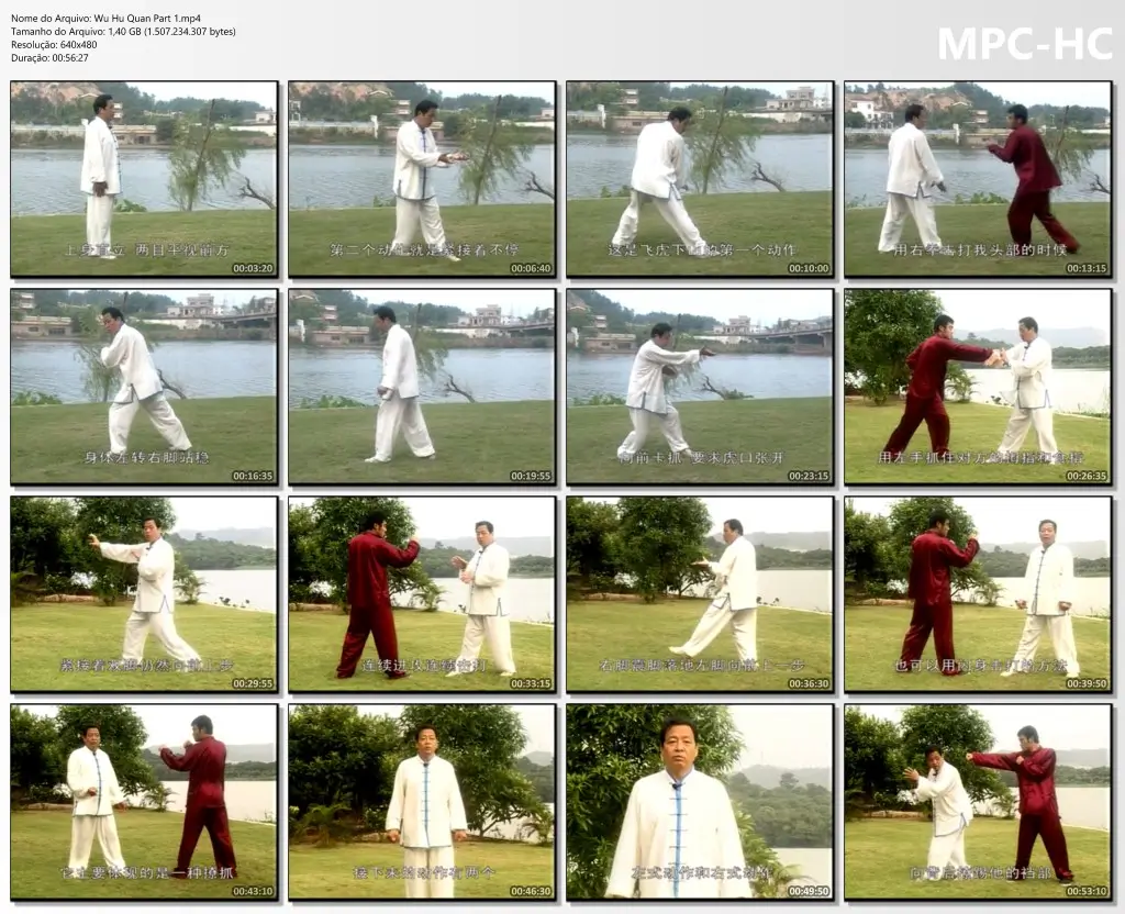 Wu Hu Quan Part 1.mp4 thumbs