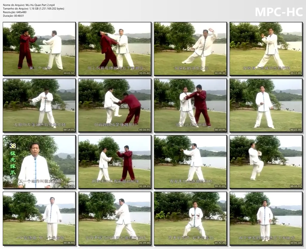 Wu Hu Quan Part 2.mp4 thumbs