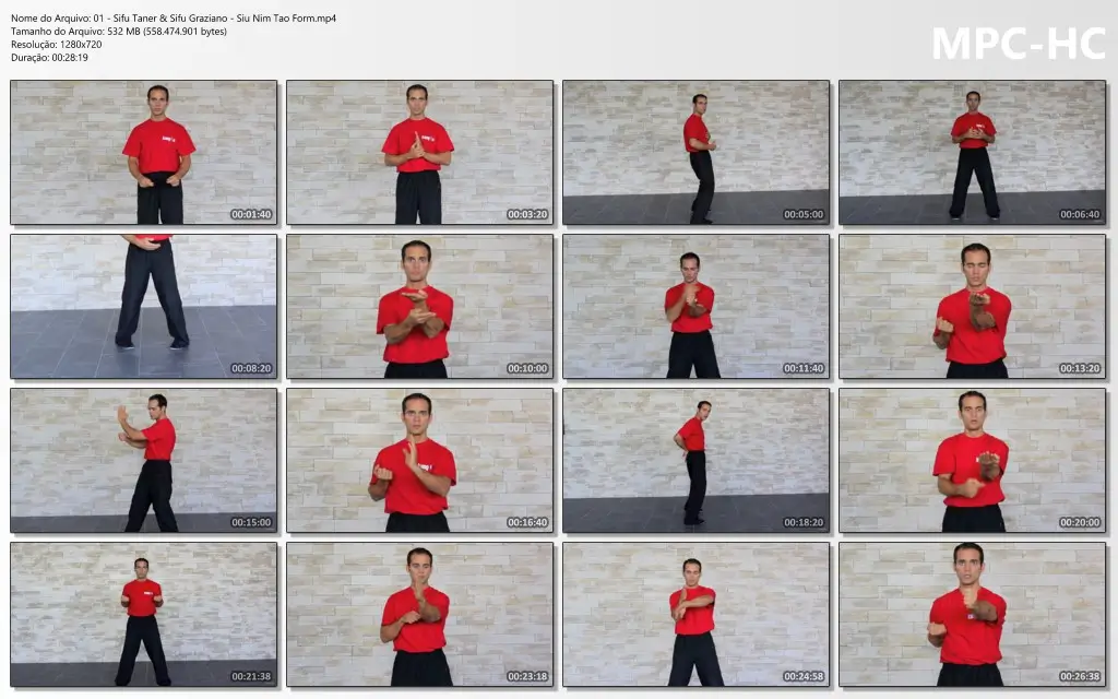 01 Sifu Taner & Sifu Graziano Siu Nim Tao Form.mp4 thumbs