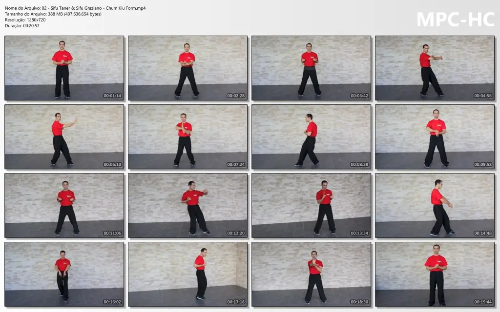 02 Sifu Taner & Sifu Graziano Chum Kiu Form.mp4 thumbs