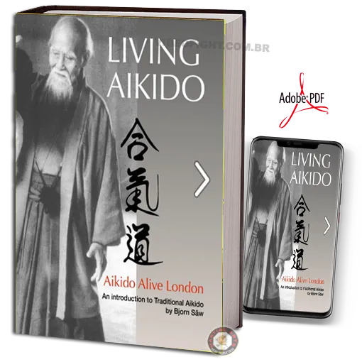 BJON SAW LIVING AIKIDO