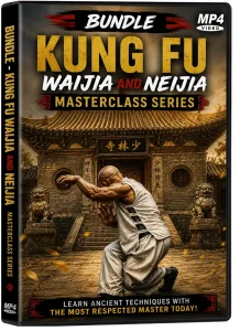 BUNDLE KUNG FU WAIJIA and NEIJIA MASTERCLASS SERIES