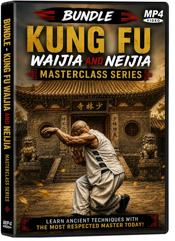 BUNDLE KUNG FU WAIJIA and NEIJIA MASTERCLASS SERIES
