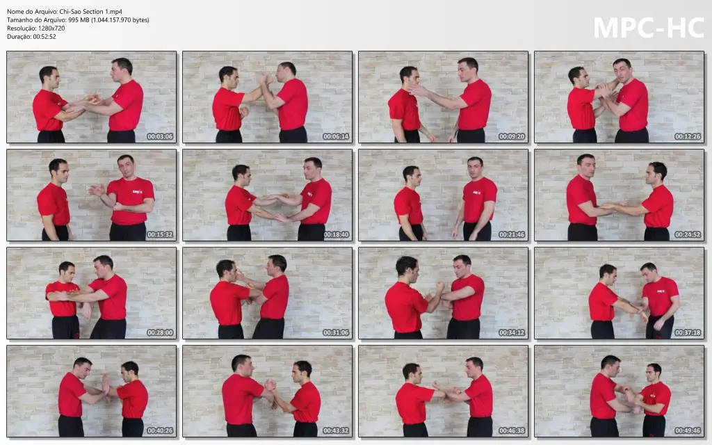 Chi Sao Section 1.mp4 thumbs