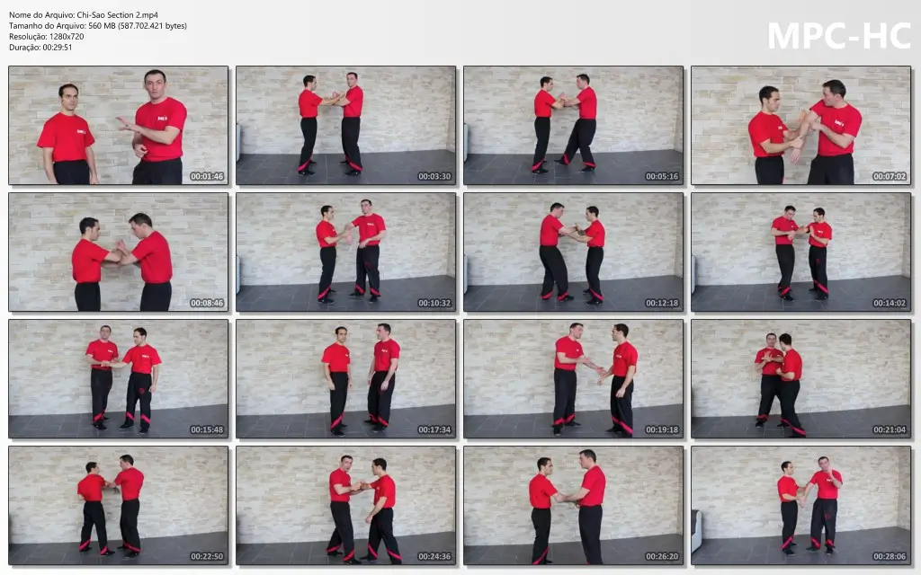 Chi Sao Section 2.mp4 thumbs