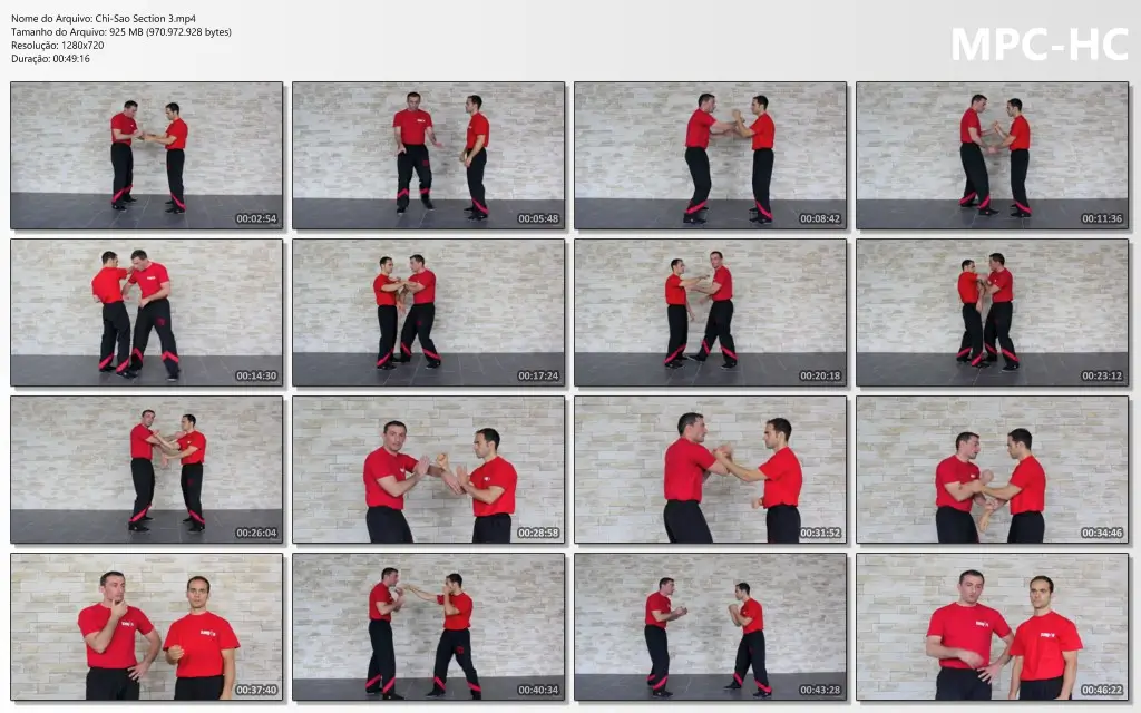 Chi Sao Section 3.mp4 thumbs