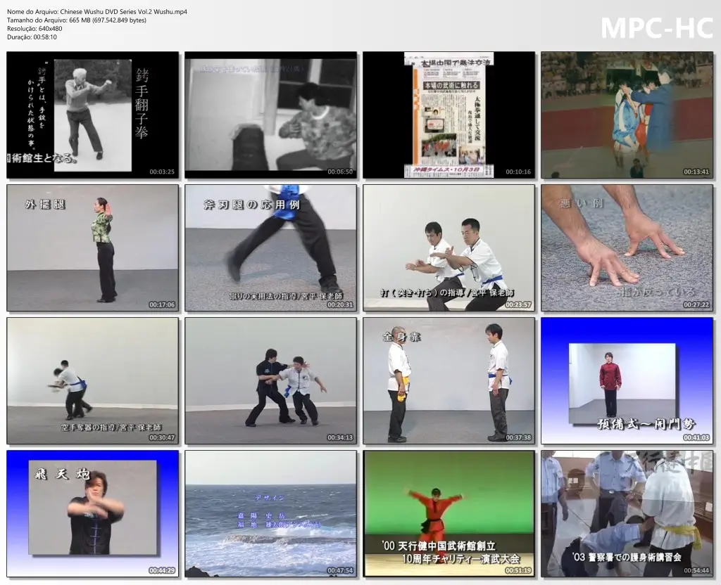 Chinese Wushu DVD Series Vol.2 Wushu.mp4 thumbs