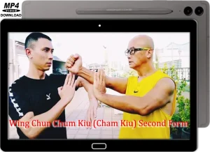 DRAGON SIFU WING CHUN CHUM KIU (CHAM KIU) SECOND FORM