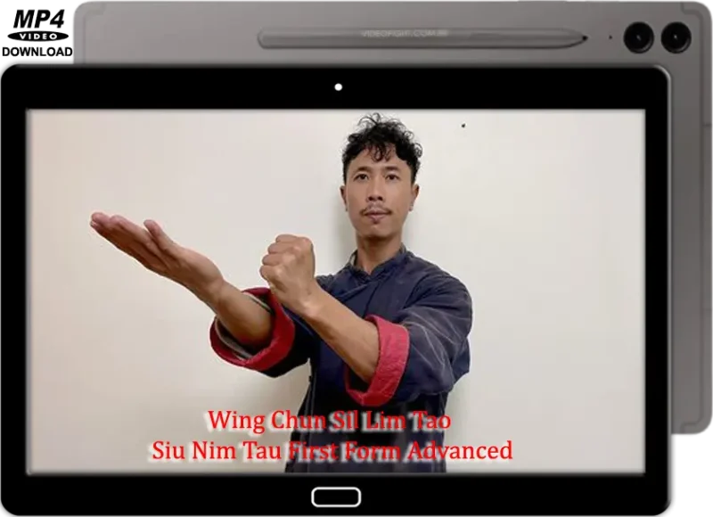 DRAGON SIFU WING CHUN SIL LIM TAO (SIU NIM TAU) FIRST FORM ADVANCED