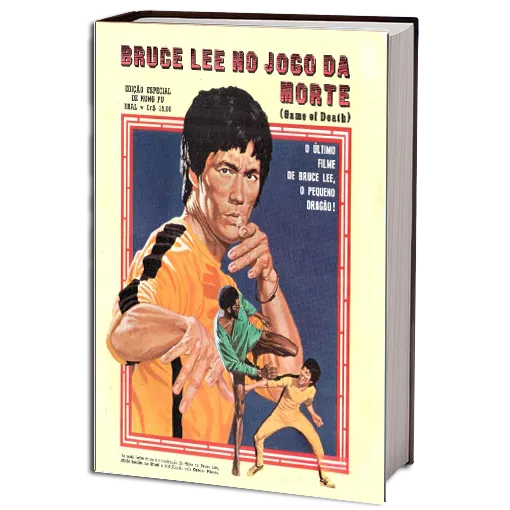 ESPECIAL BRUCE LEE NO JOGO DA MORTE