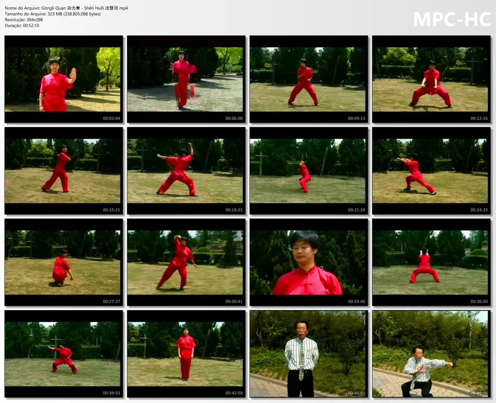 Gōnglì Quán 功力拳 Shěn Huìlì 沈慧丽.mp4 thumbs