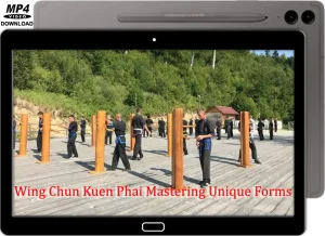 IGOR ASTASHEV WING CHUN KUEN PHAI MASTERING UNIQUE FORMS