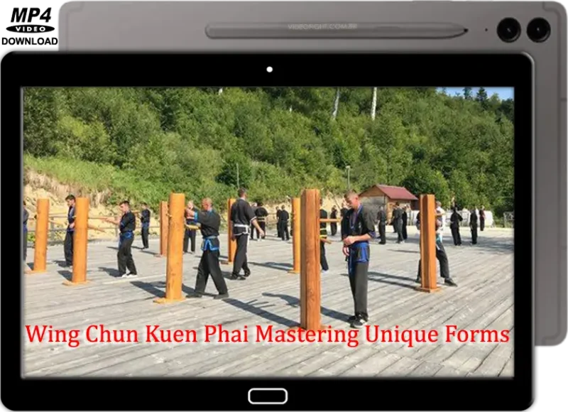 IGOR ASTASHEV WING CHUN KUEN PHAI MASTERING UNIQUE FORMS