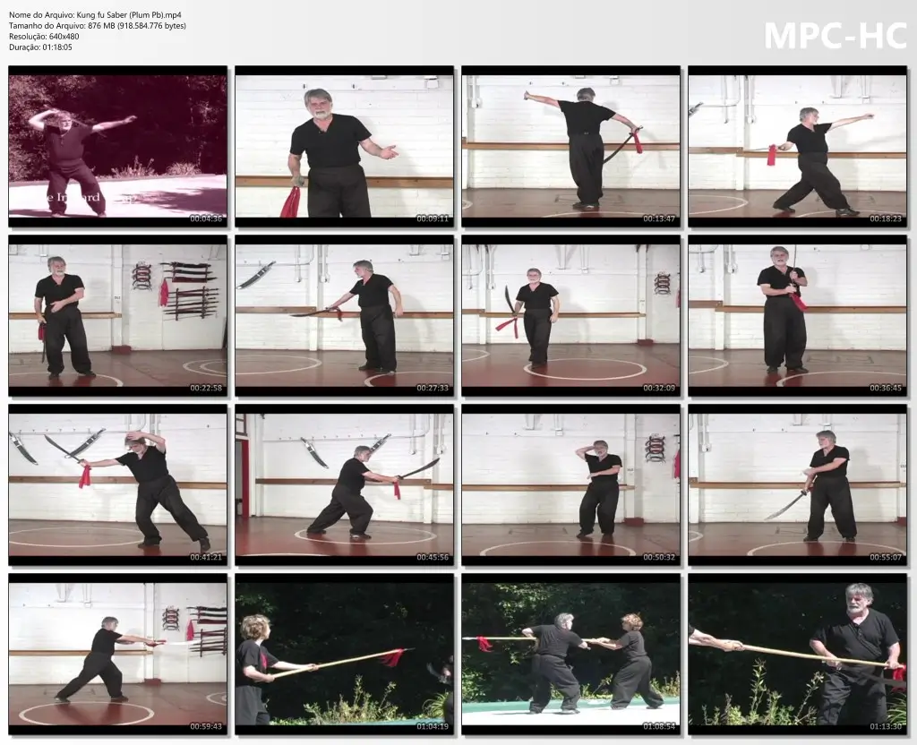 Kung fu Saber (Plum Pb).mp4 thumbs