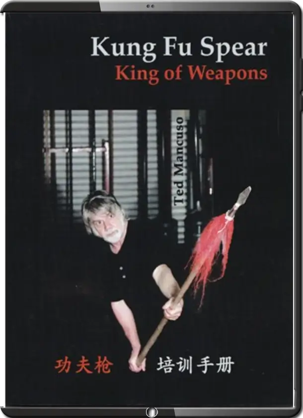 Kung fu Spear COVER