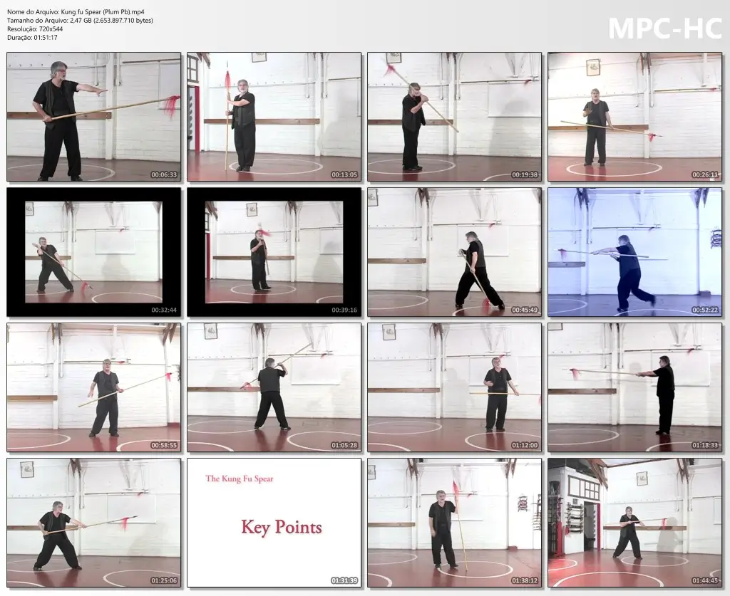 Kung fu Spear (Plum Pb).mp4 thumbs