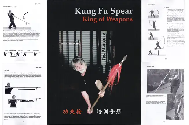 Kung fu Spear