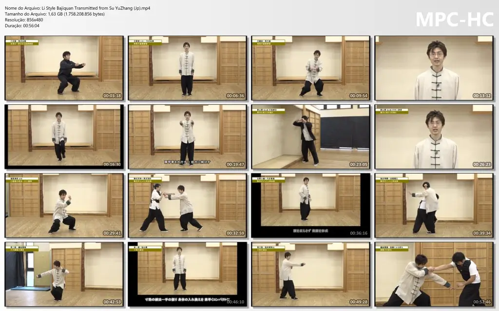 Li Style Bajiquan Transmitted from Su YuZhang (Jp).mp4 thumbs