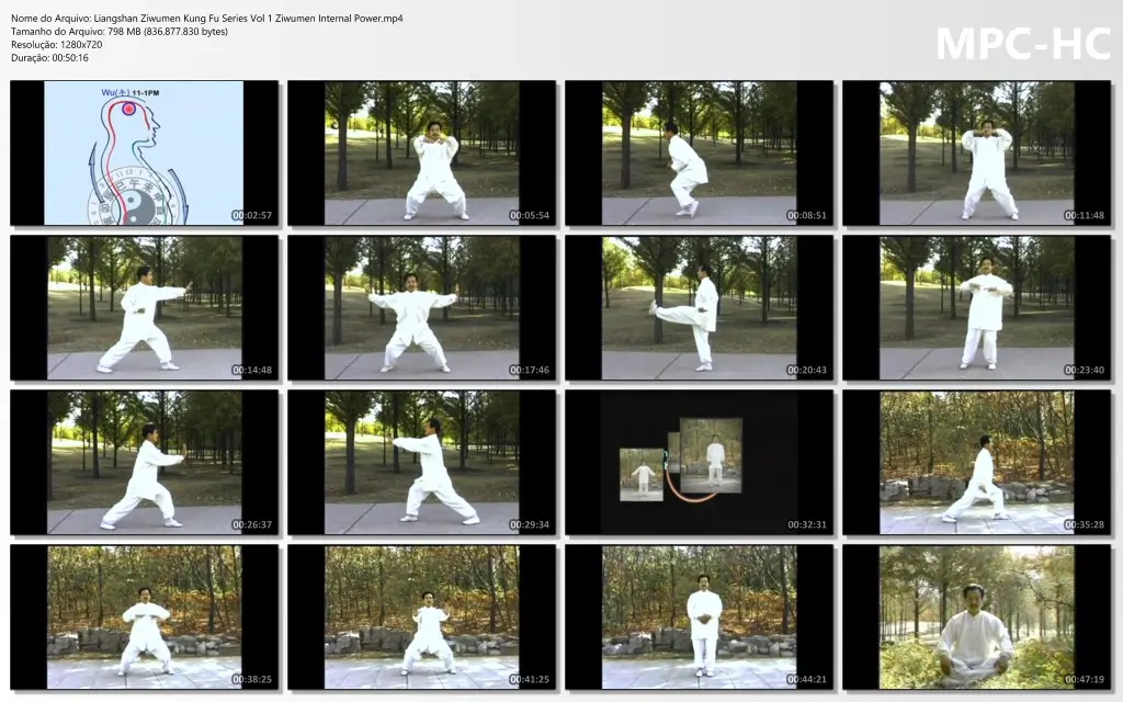 Liangshan Ziwumen Kung Fu Series Vol 1 Ziwumen Internal Power.mp4 thumbs