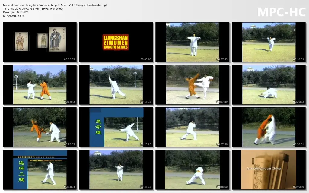 Liangshan Ziwumen Kung Fu Series Vol 3 Chuojiao Lianhuantui.mp4 thumbs