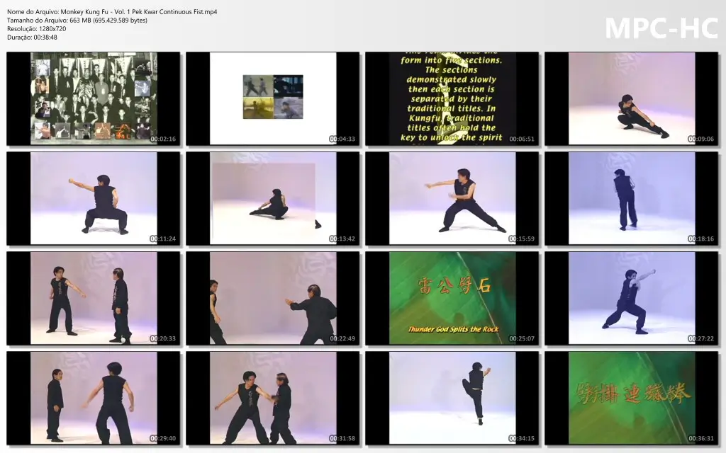 Monkey Kung Fu Vol. 1 Pek Kwar Continuous Fist.mp4 thumbs