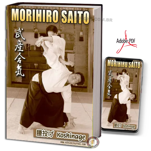 Morihiro Saito Takemusu Aiki Koshinage