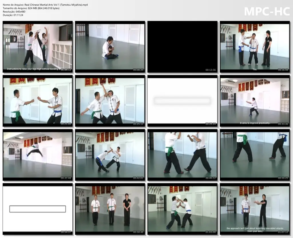 Real Chinese Martial Arts Vol 1 (Tamotsu Miyahira).mp4 thumbs