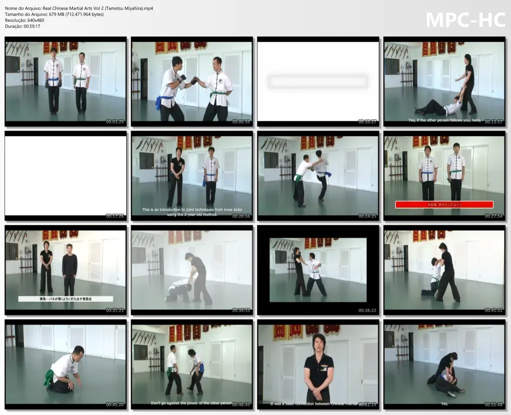 Real Chinese Martial Arts Vol 2 (Tamotsu Miyahira).mp4 thumbs