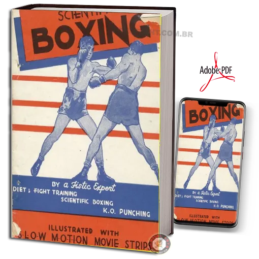 Scientific Boxing Diet Fight Training, Scientific Boxing, K.O. Punching