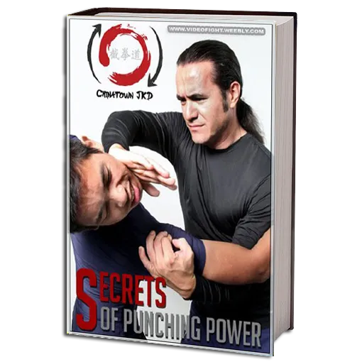 Secrets of Punching Power Book