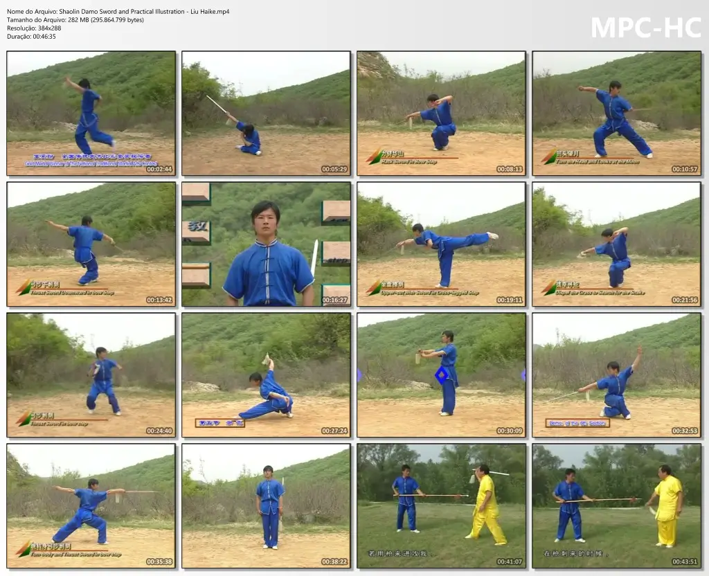 Shaolin Damo Sword and Practical Illustration Liu Haike.mp4 thumbs