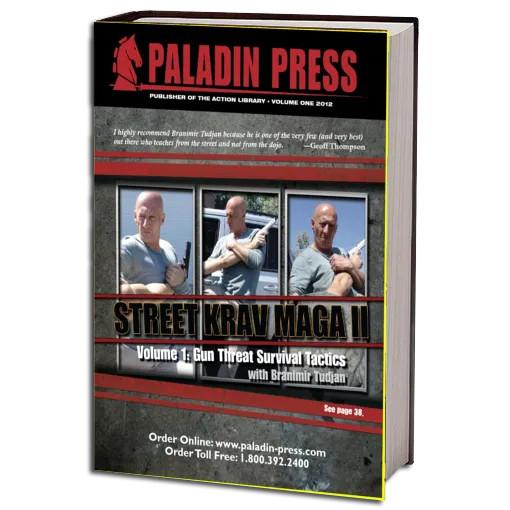 Street krav maga
