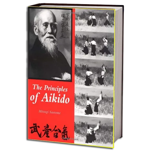 The Principles of Aikido