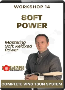 WAYNE BELONOHA – WORKSHOP 14 – SOFT POWER