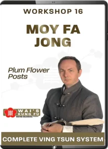 WAYNE BELONOHA – WORKSHOP 16 – MOY FA JONG – PLUM FLOWER POSTS